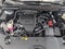 2024 Lexus RX 350 RX 350