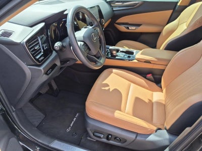 2025 Lexus NX 250 NX 250