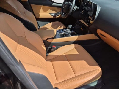 2025 Lexus NX 250 NX 250