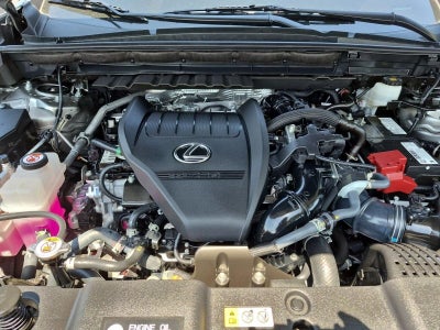 2023 Lexus NX 350 Premium