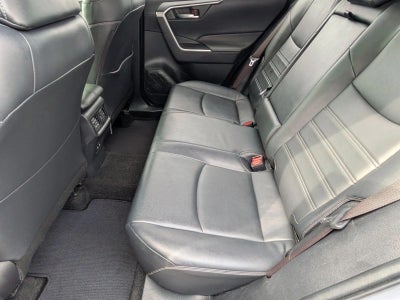 2019 Toyota RAV4 XLE Premium FWD (Natl)