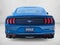 2018 Ford Mustang EcoBoost Fastback