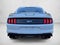 2019 Ford Mustang GT Fastback