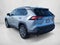 2019 Toyota RAV4 XLE Premium FWD (Natl)