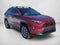 2024 Toyota RAV4 XLE Premium FWD (Natl)