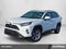 2019 Toyota RAV4 XLE AWD (Natl)