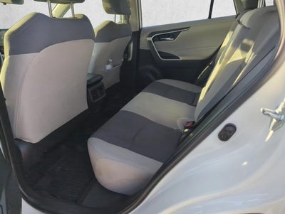 2019 Toyota RAV4 XLE AWD (Natl)