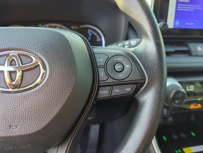 2025 Toyota RAV4 Hybrid XLE AWD (Natl)