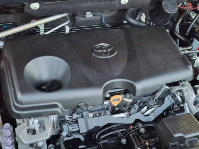 2019 Toyota RAV4 XLE Premium FWD (Natl)