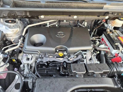 2019 Toyota RAV4 XLE Premium FWD (Natl)