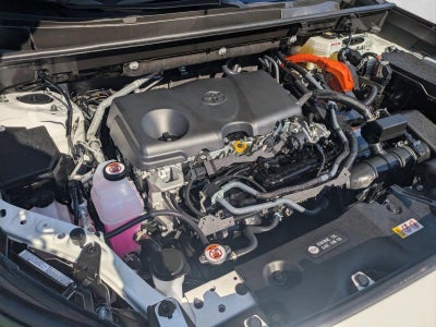 2025 Toyota RAV4 Hybrid LE AWD (Natl)