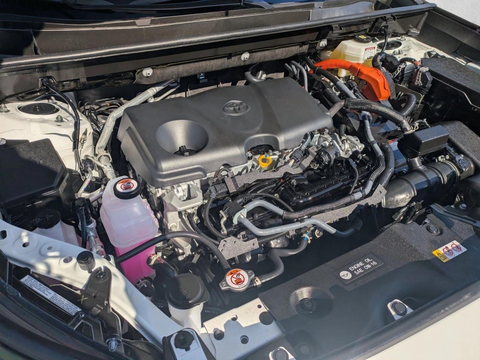 2025 Toyota RAV4 Hybrid LE AWD (Natl)