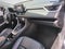 2019 Toyota RAV4 XLE Premium FWD (Natl)