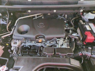 2019 Toyota RAV4 XLE Premium FWD (Natl)