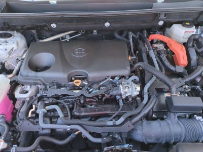 2023 Toyota RAV4 Hybrid XSE AWD (Natl)