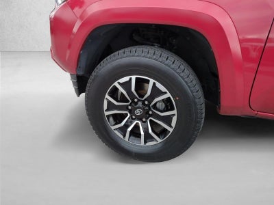 2023 Toyota Tacoma 2WD 2WD TRD Sport Double Cab 5' Bed V6 AT (Natl)