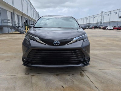 2025 Toyota Sienna XLE FWD 8-Passenger (Natl)