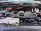 2024 Toyota Sequoia Limited 4WD (Natl)