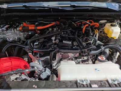 2025 Toyota 4Runner Hybrid TRD Pro 4WD (Natl)