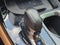 2023 Lexus NX 350 Premium AWD