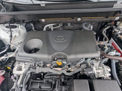 2023 Toyota RAV4 XLE Premium FWD (Natl)