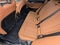 2024 BMW X3 sDrive30i Sports Activity Vehicle