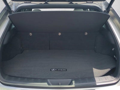 2019 Lexus UX 250h AWD