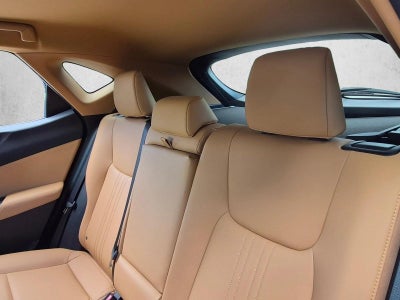 2025 Lexus NX 250 FWD