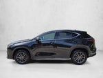 2026 Lexus NX AWD