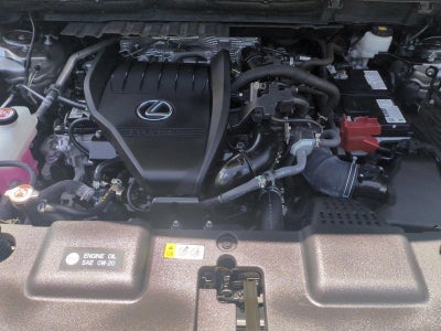 2025 Lexus NX 350 Premium AWD