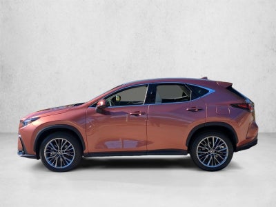 2026 Lexus NX Luxury AWD