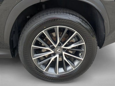 2023 Lexus NX 250 FWD
