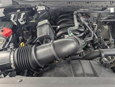 2024 Ford Super Duty F-250 SRW XL 2WD Reg Cab 8' Box