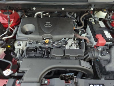 2021 Toyota RAV4 XLE Premium AWD (Natl)