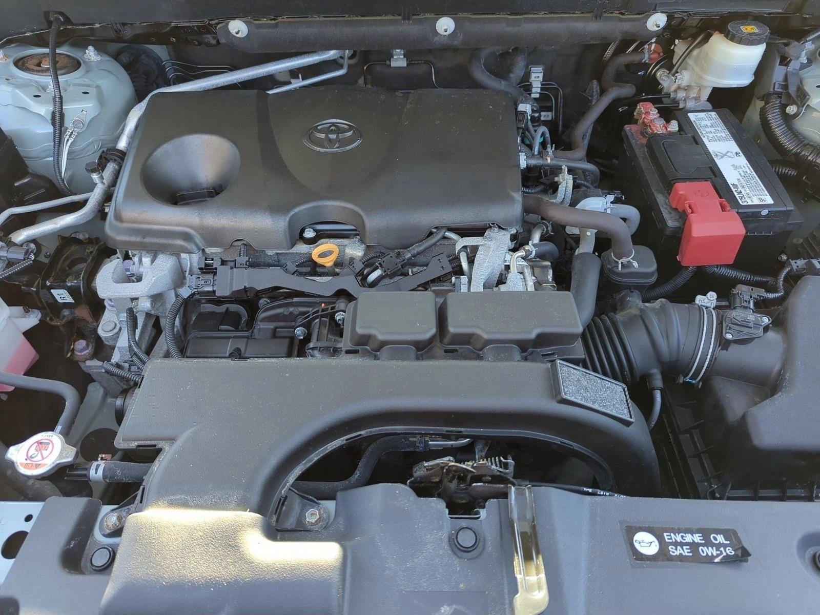 2019 Toyota RAV4 XLE AWD (Natl)