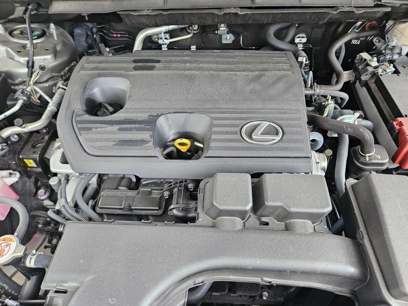 2024 Lexus NX 250 FWD